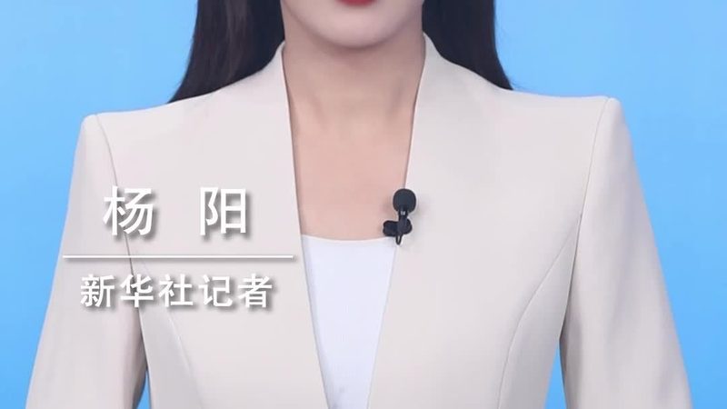 成都研发外包：技术参数解析与选型要点**